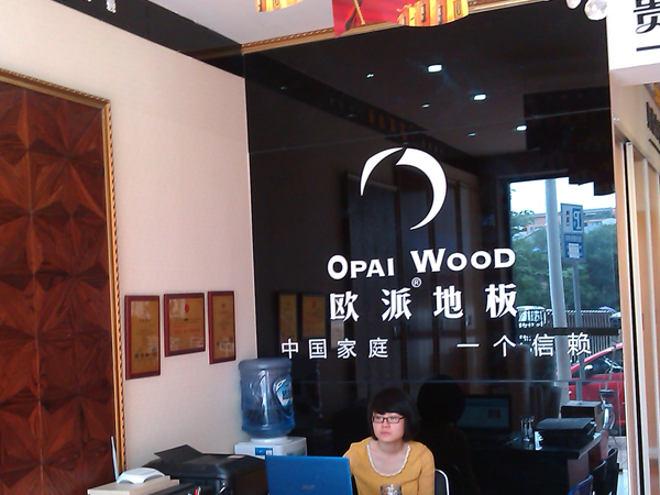 四川資陽歐派地板加盟店