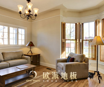 強(qiáng)化地板除味