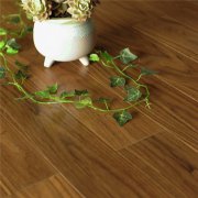 OP-GX33 番龍眼實木地板